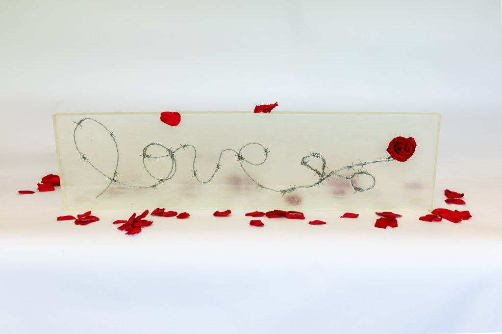 Jean-ka "L'Amour Piquant". Fil de fer barbelé, résine transparente et rose éternelle